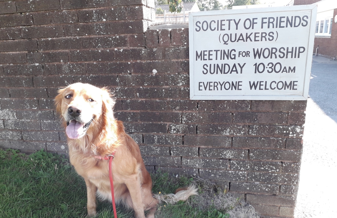 Dog sitting next to Quaker sign board Dog sitting next to Quaker sign board